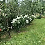 Monolocale La Mimosa