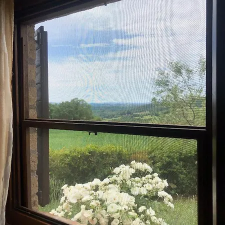 Monolocale La Mimosa Country house Elmo
