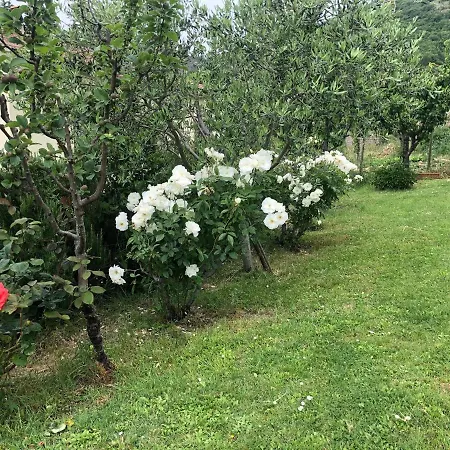 Monolocale La Mimosa