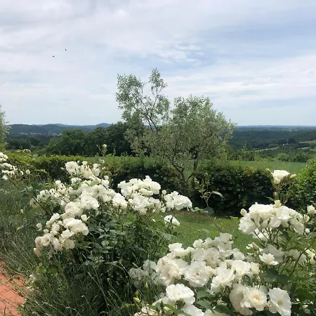Country house Monolocale La Mimosa Elmo
