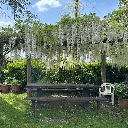 Country house Monolocale La Mimosa