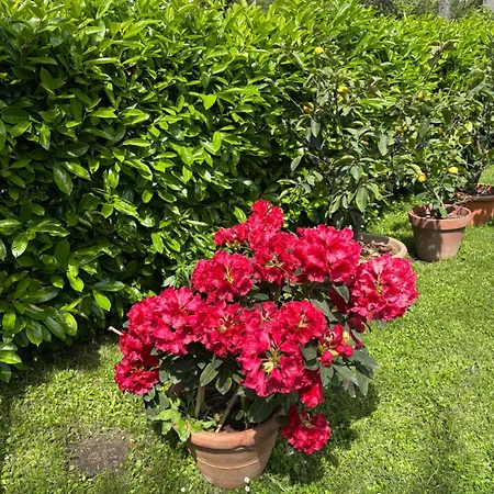 Monolocale La Mimosa منزل ريفي